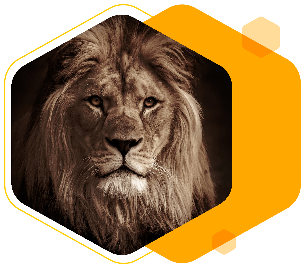 Agencia de MArketing digital B2B